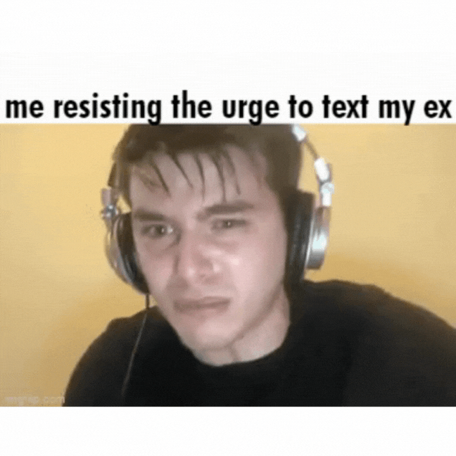 FMEX Meme 4